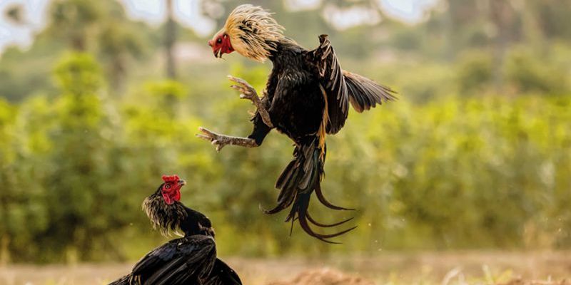 Lưu ý một số điểm quan trọng để tham gia hiệu quả